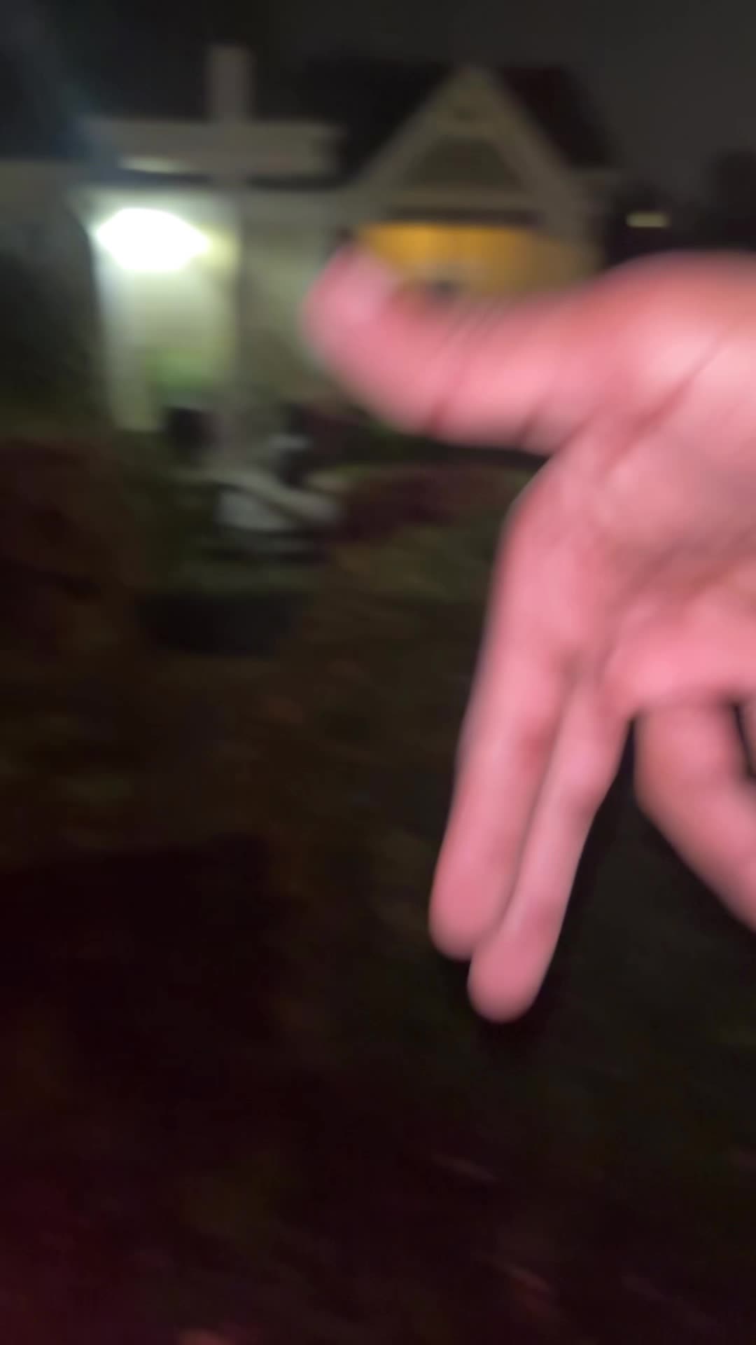 @WHOSCORIIN🦅