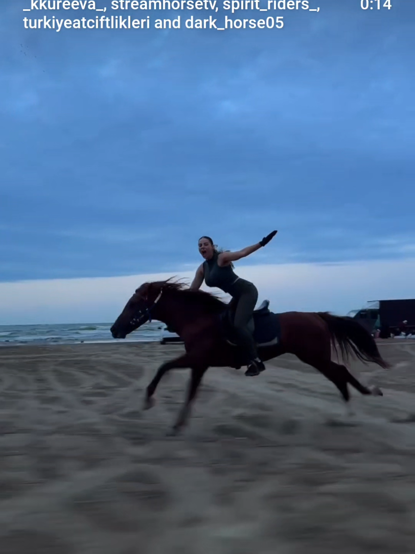 @streamhorse