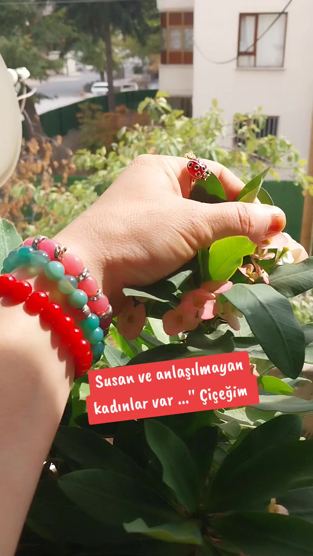 @🌹🌹ELA GÖZLÜ 🌹🌹