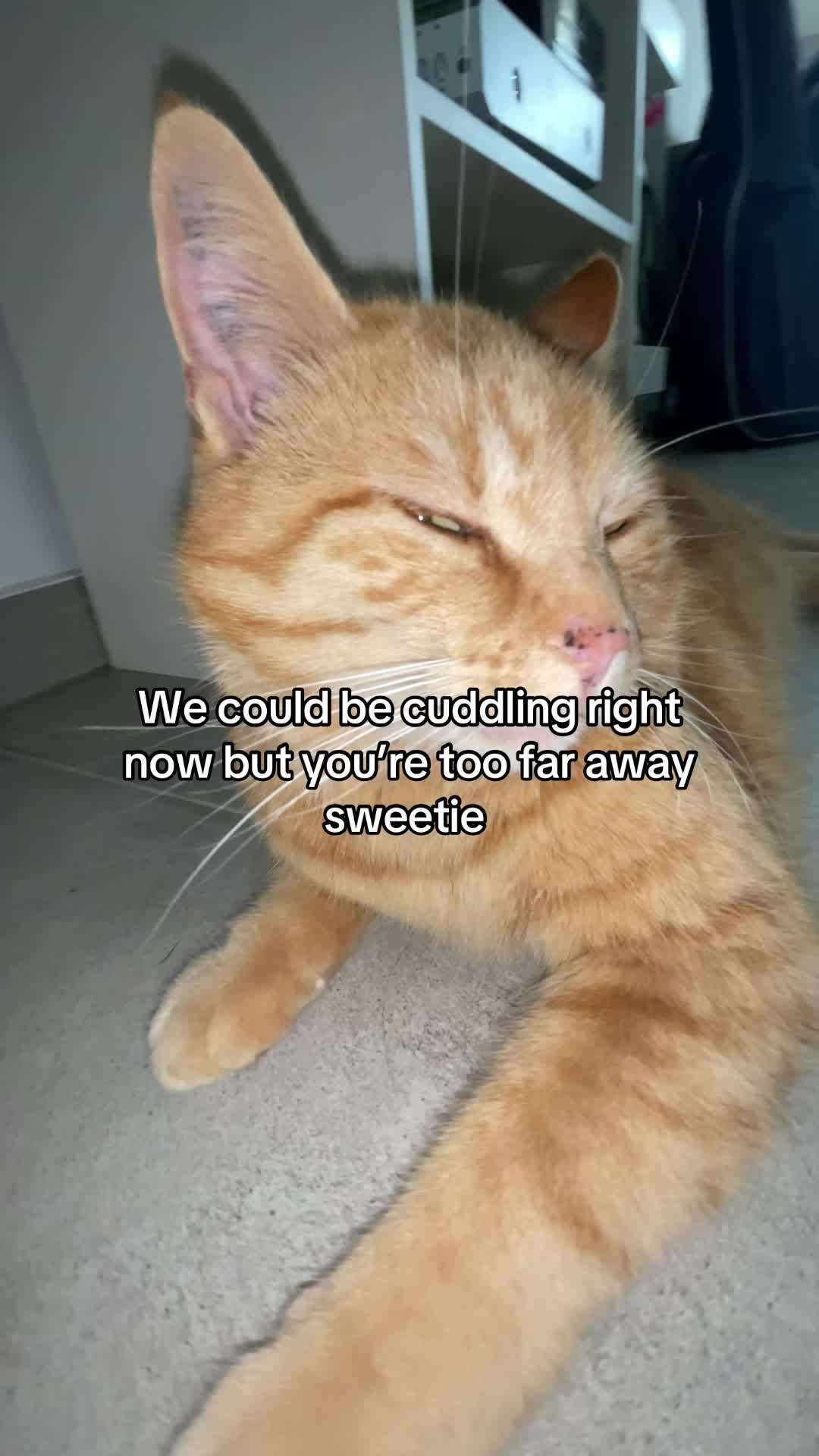 @Simba
