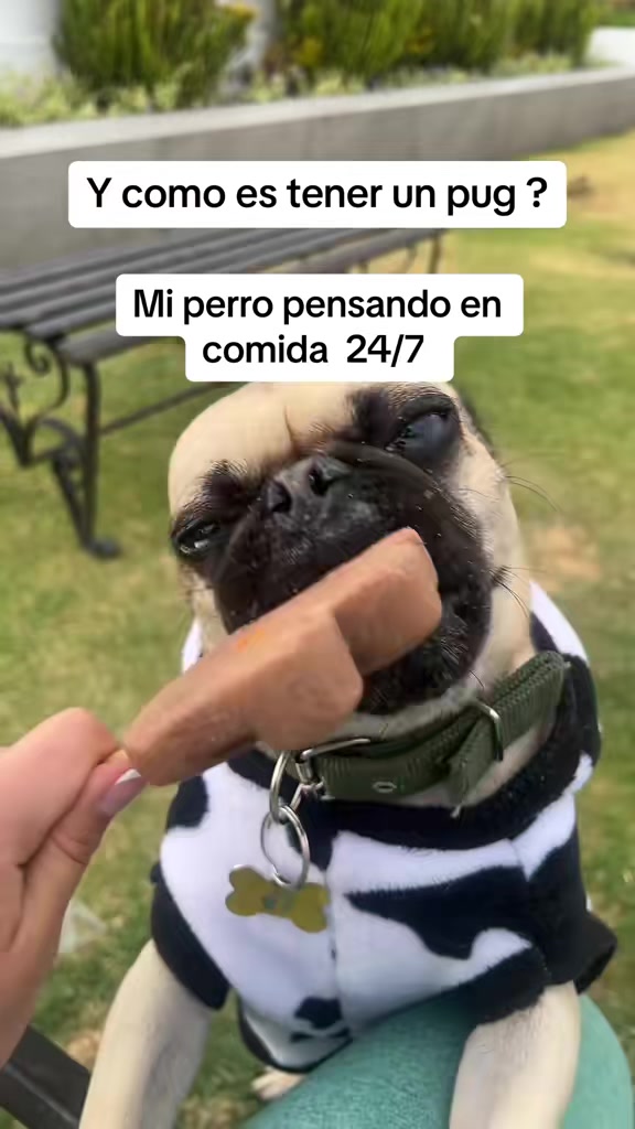 @Alexa&elcarnalchiss