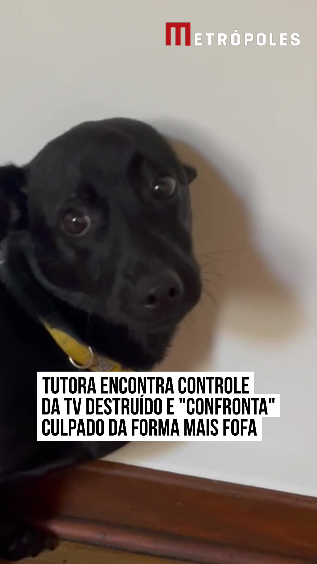 @Metr&oacute;poles Oficial