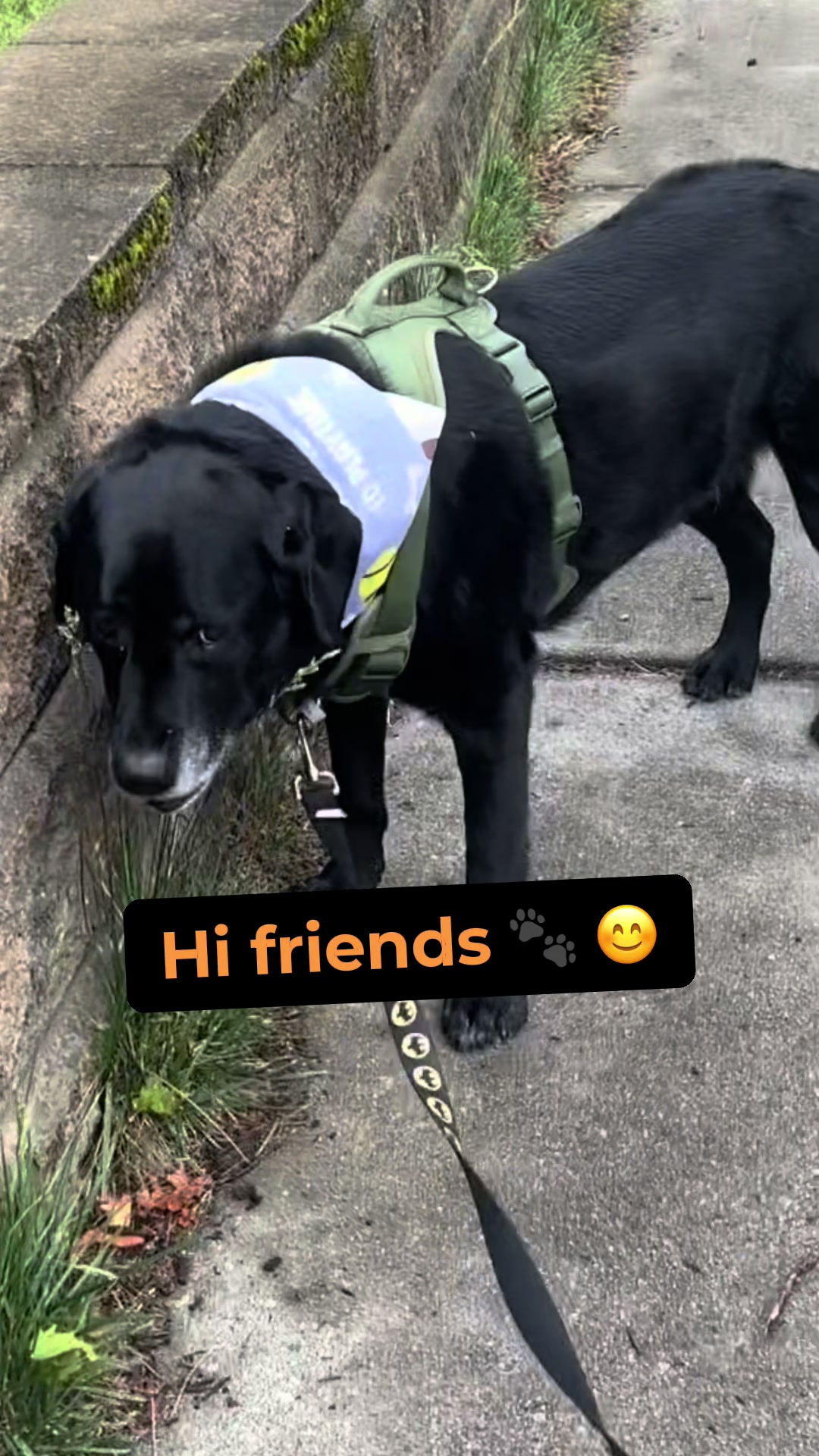 @rubenblacklab