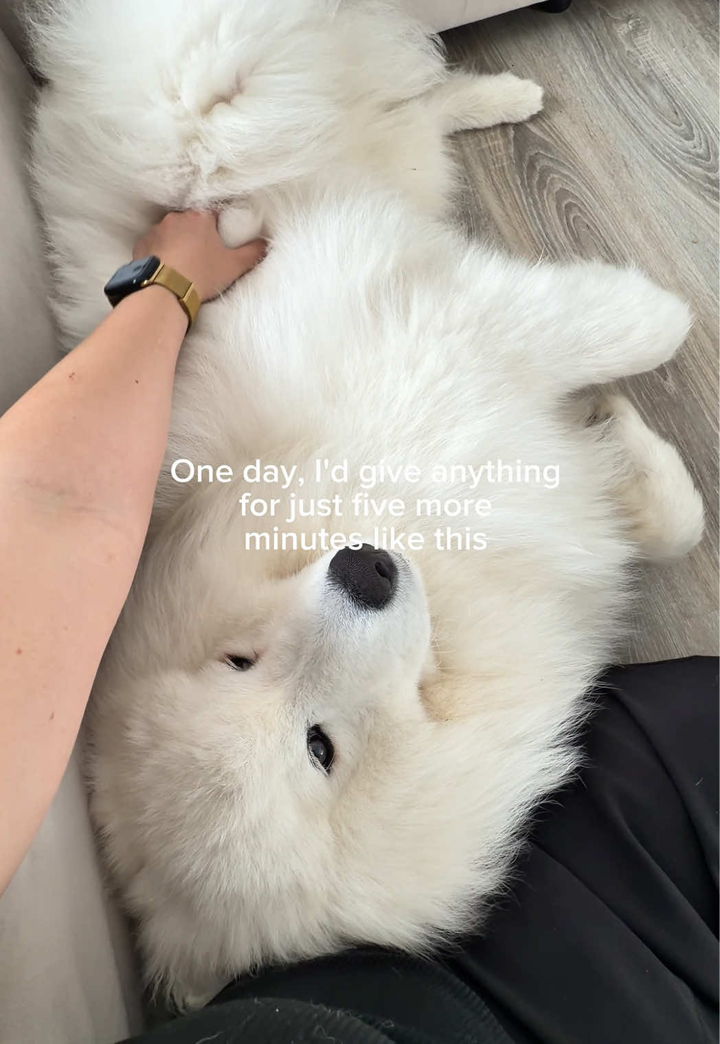 @snowydayswithlio