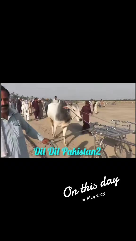 @چوہدری شاہد سلیم مڑل