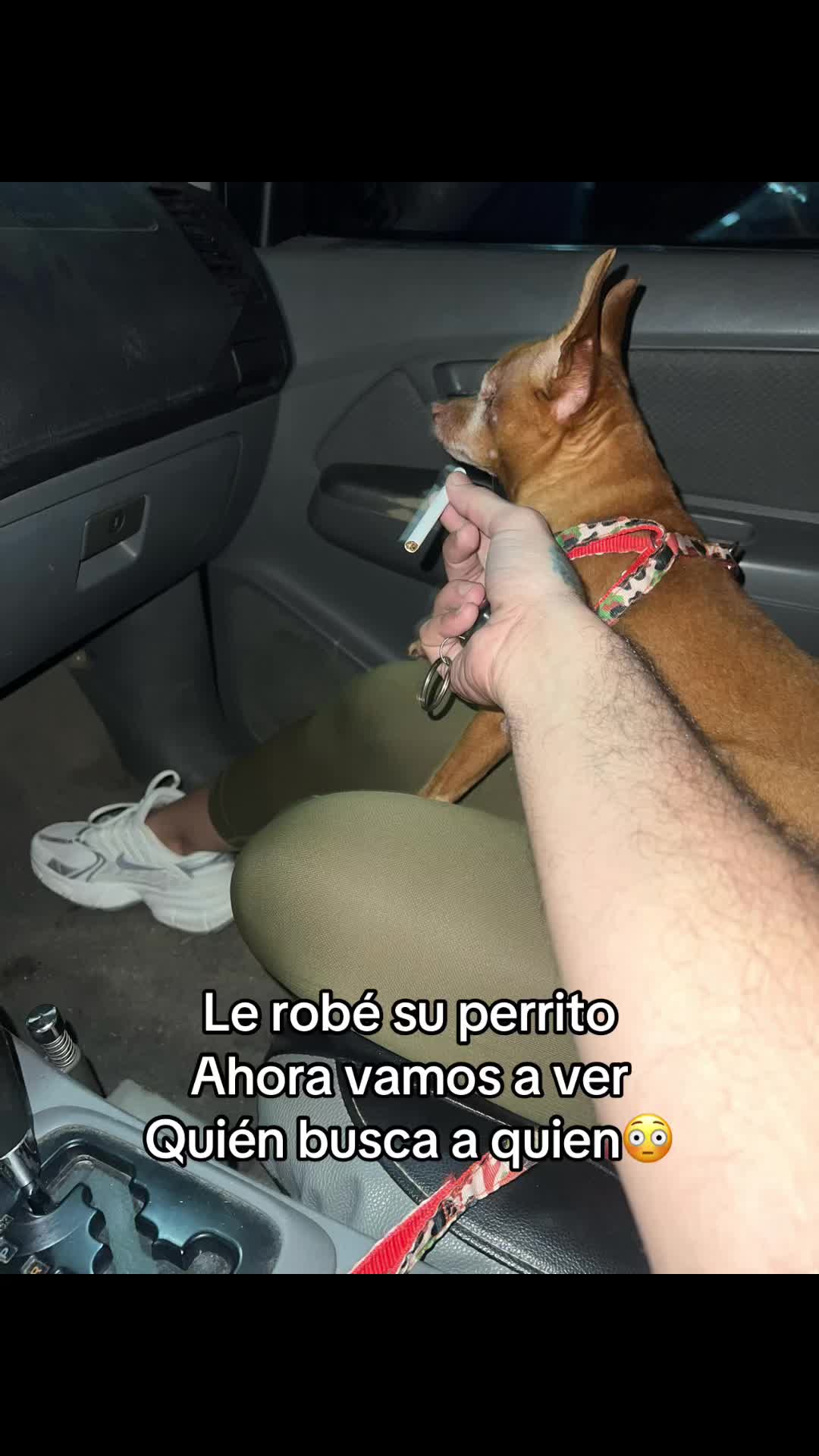 @Yogeth karouni