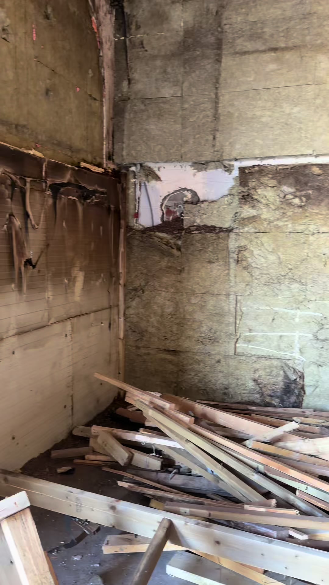 @0S4SSK 🥷