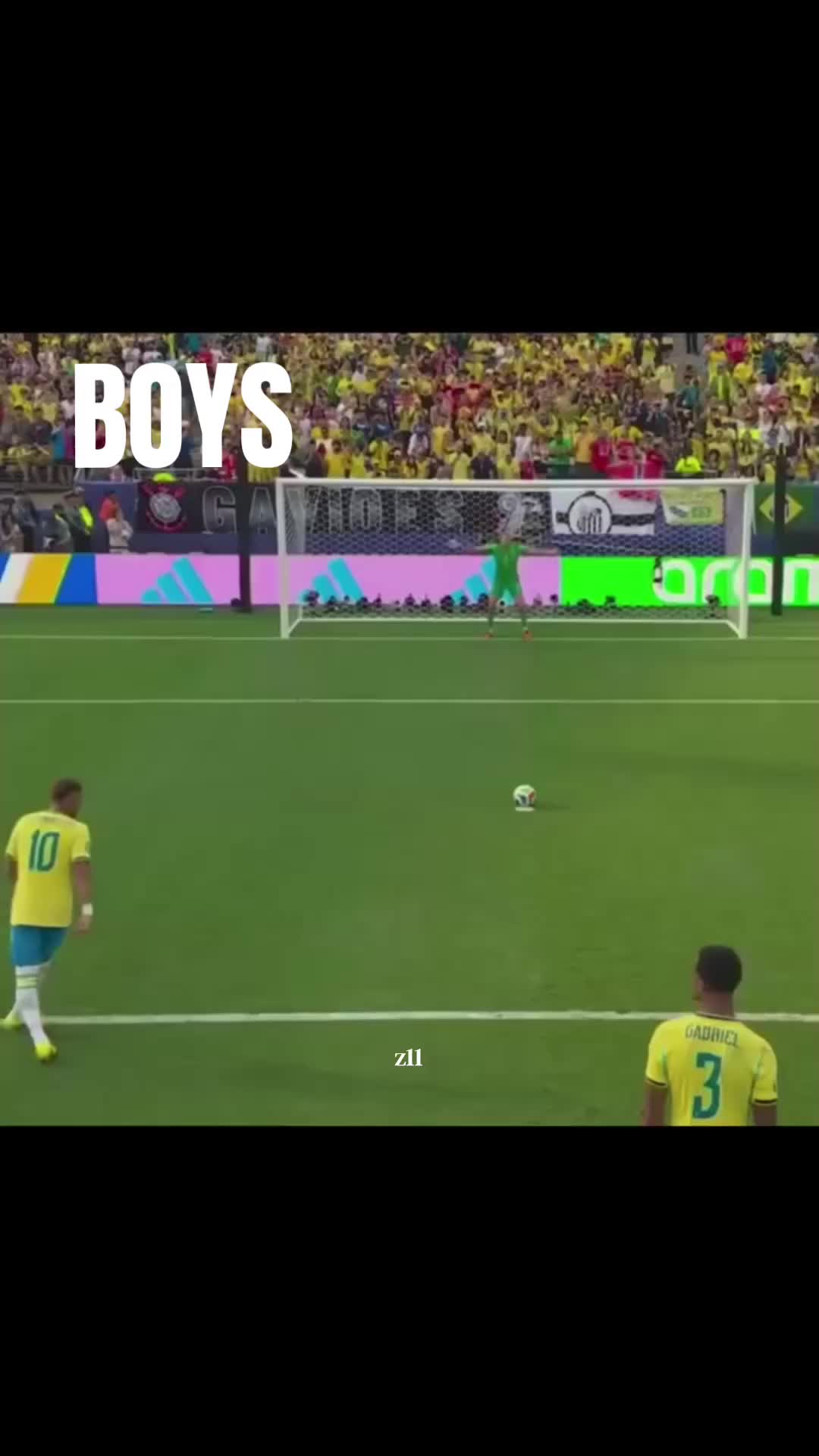 @Z11