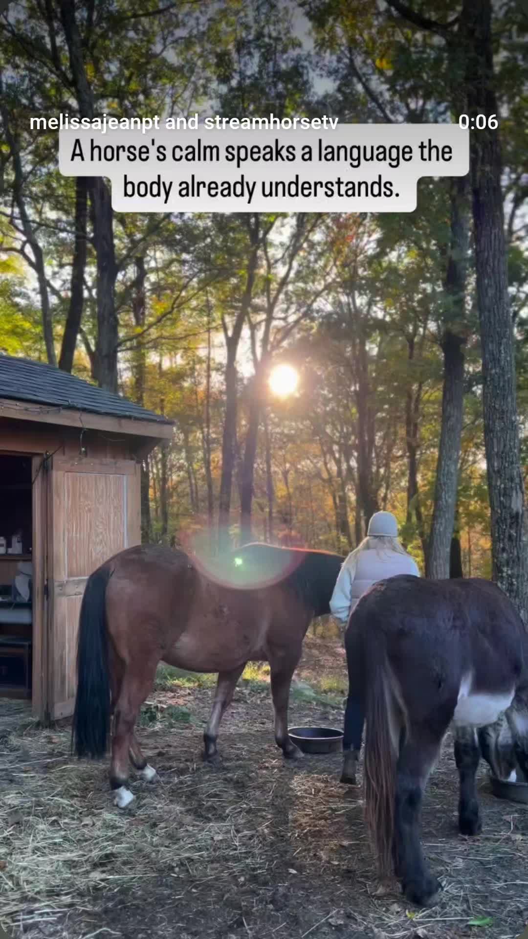 @streamhorse