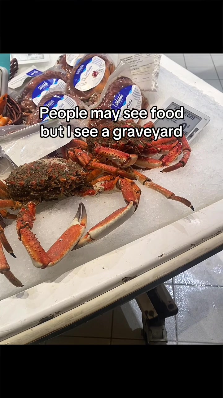 @Meat Sucks