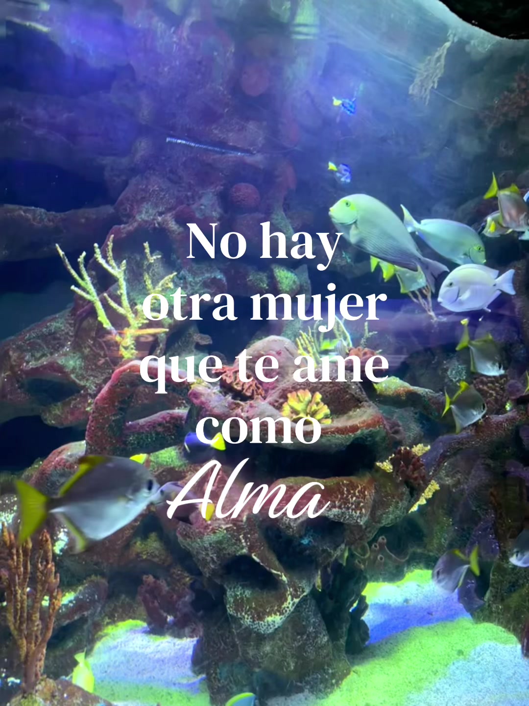 @𝓥𝓪𝓵𝓮𝓷 𝓽𝓮 𝓪𝓶𝓸😍💘