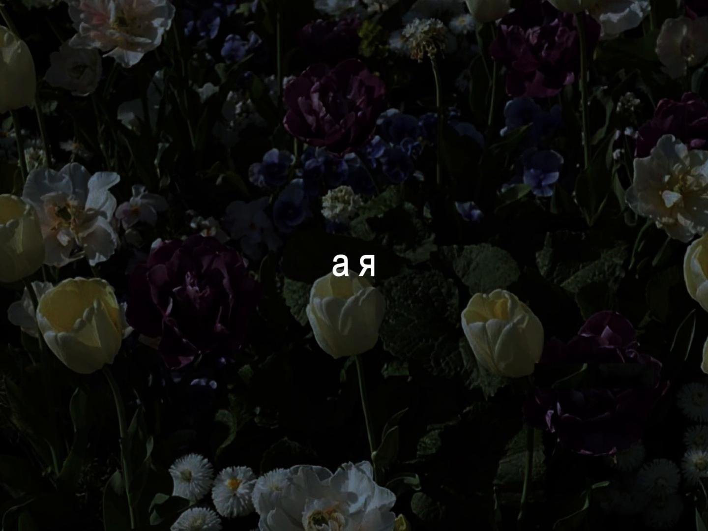 @lyrics 🎧