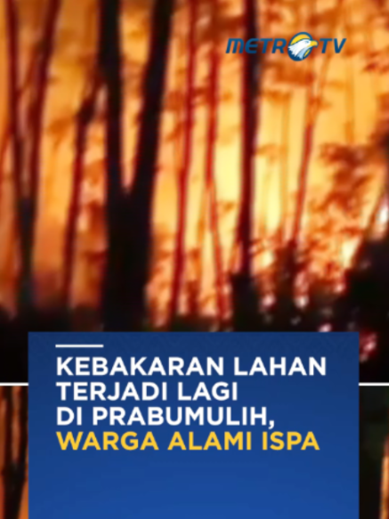 @Metro TV