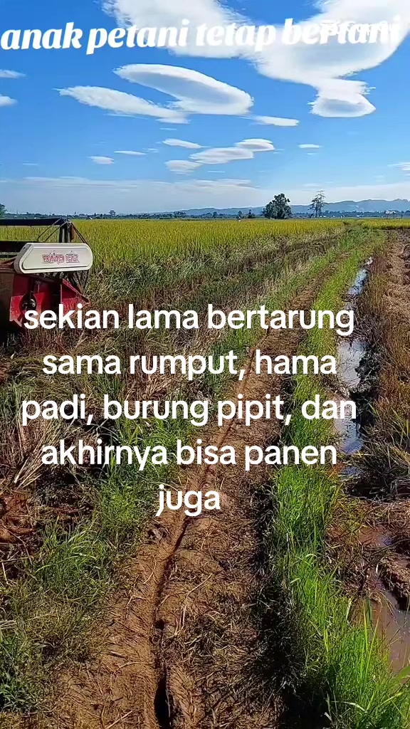 @1wan putra