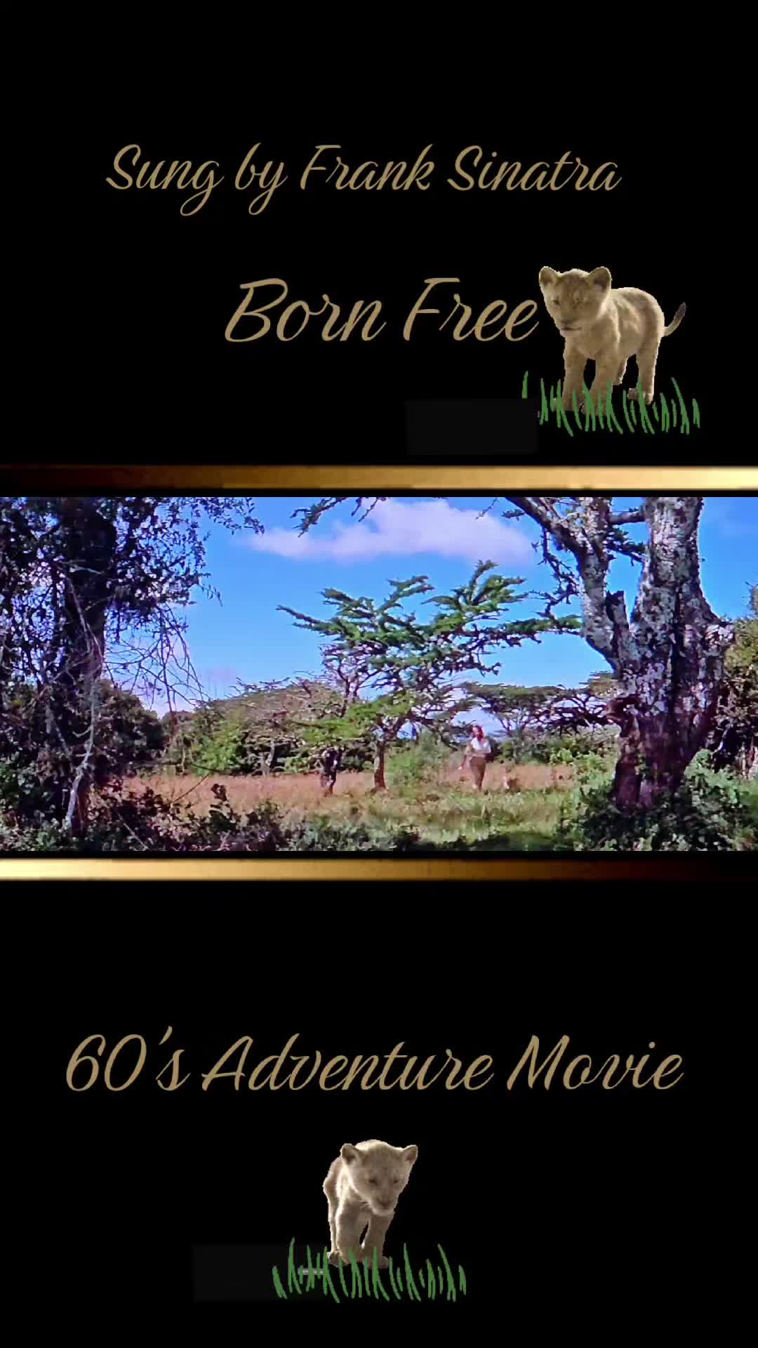 @Bird Watcher