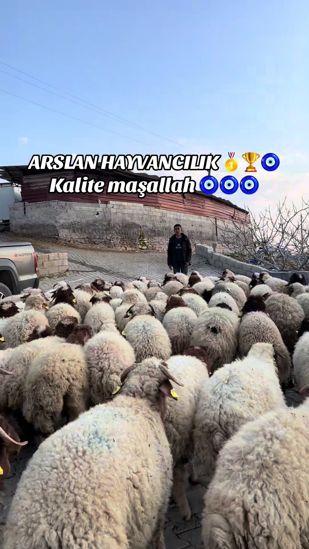 @cuma_arslan027