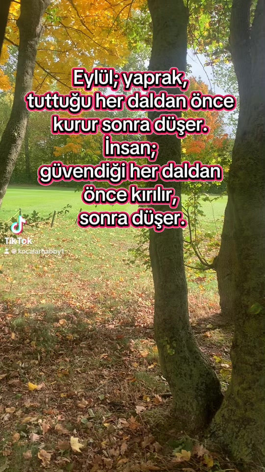 @Biricik Habby