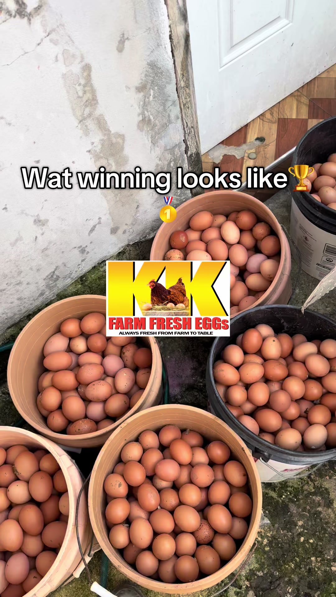 @KK Farm Fresh LTD.🇯🇲
