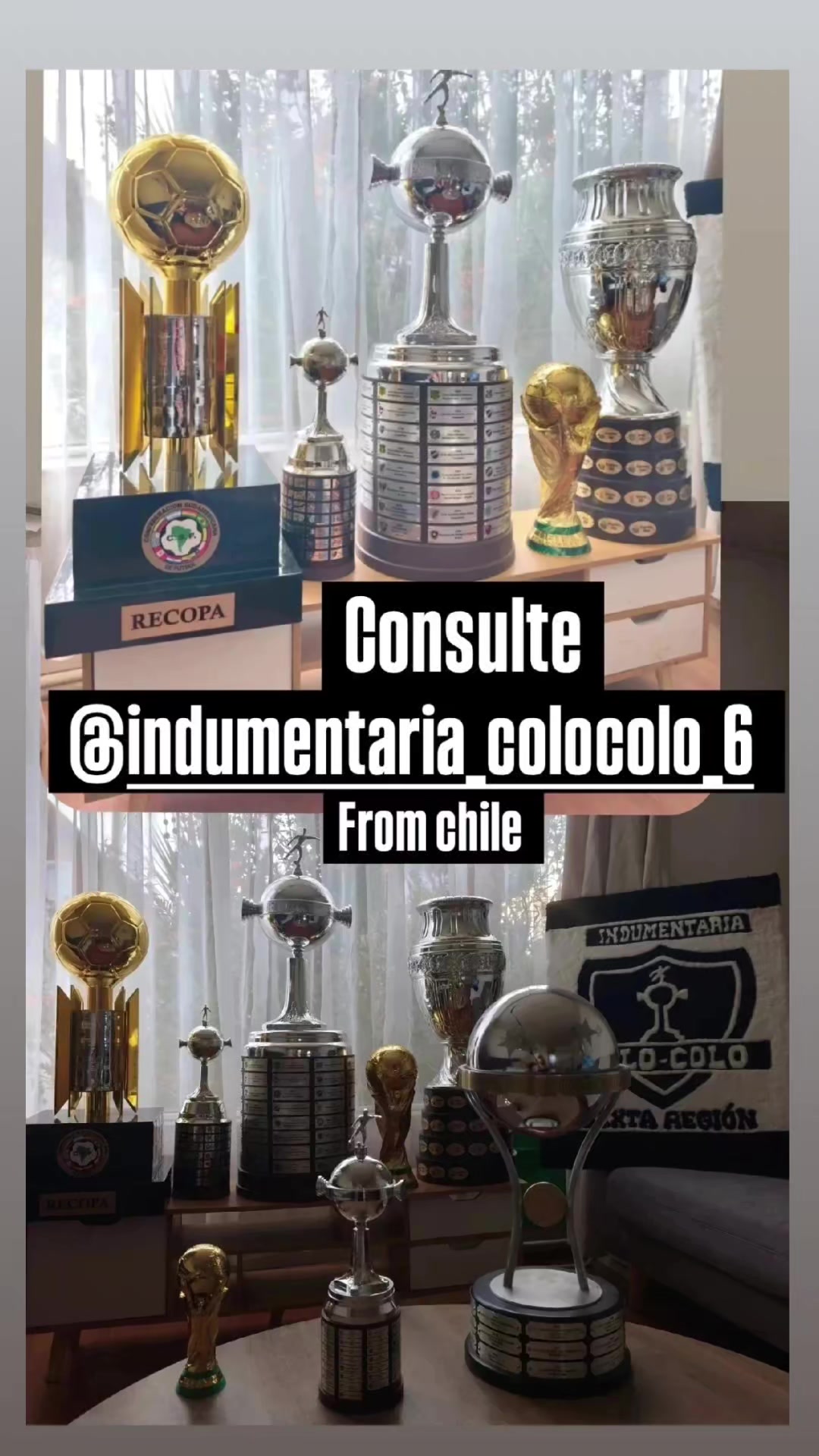@indumentaria_colocolo_6