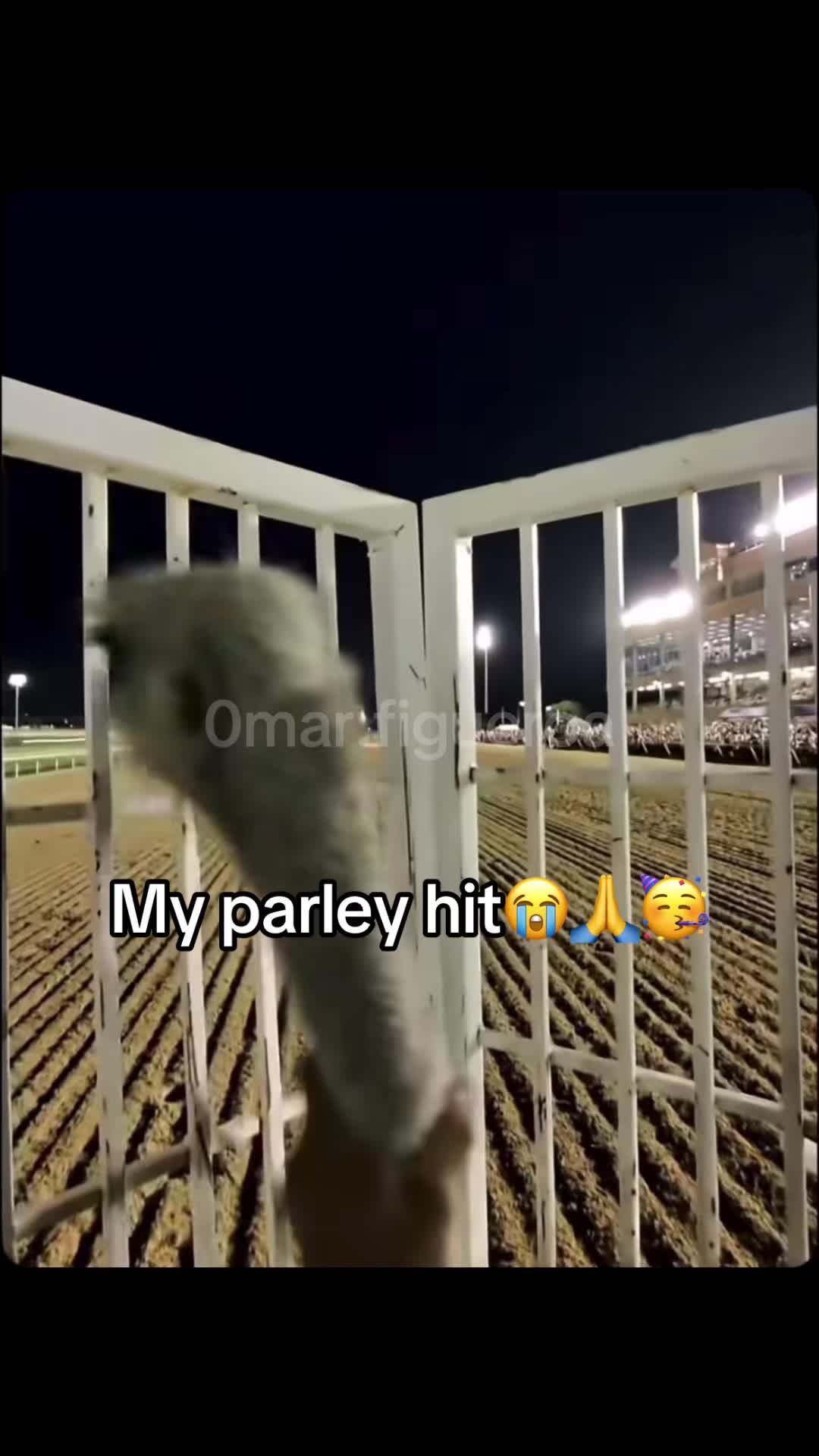 @Omar Figueroa