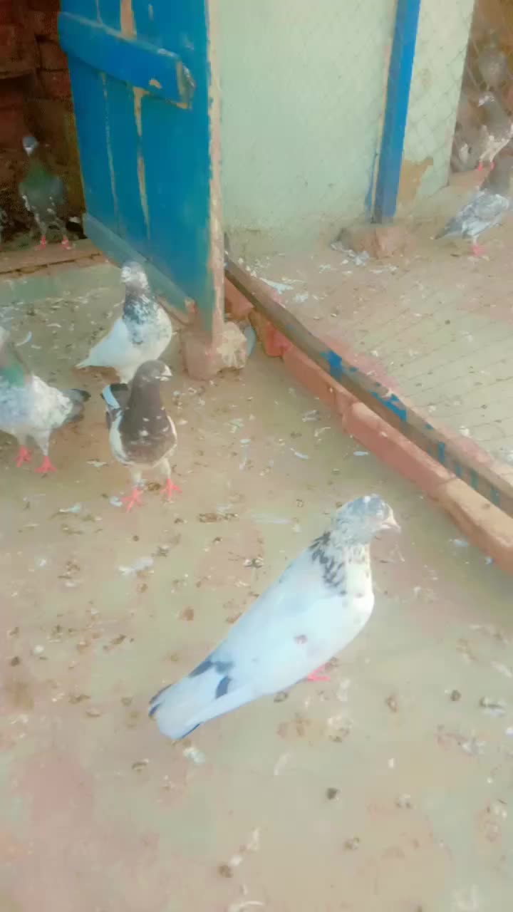 @user142017570