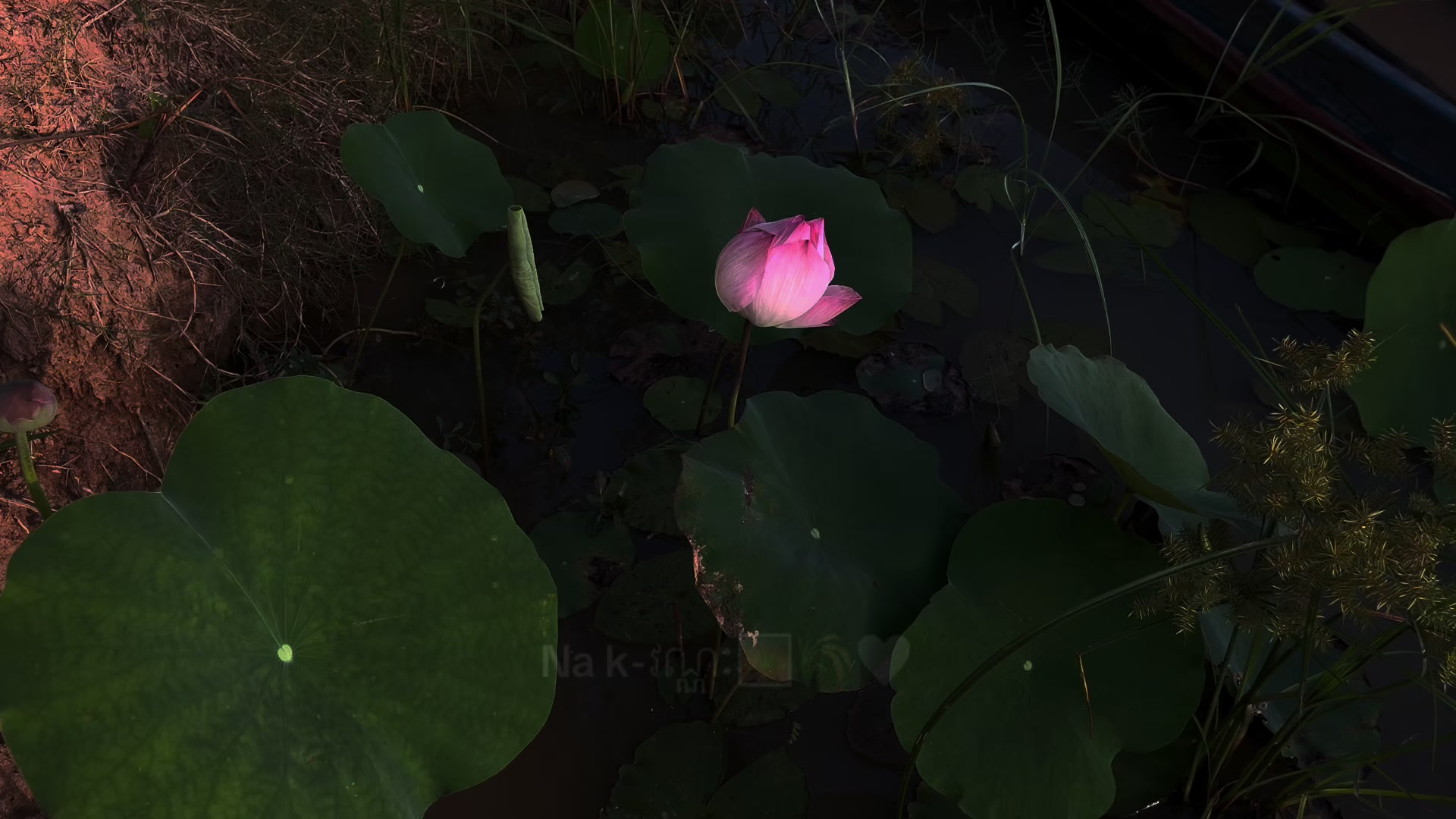 @Na k-វណ្ណៈ