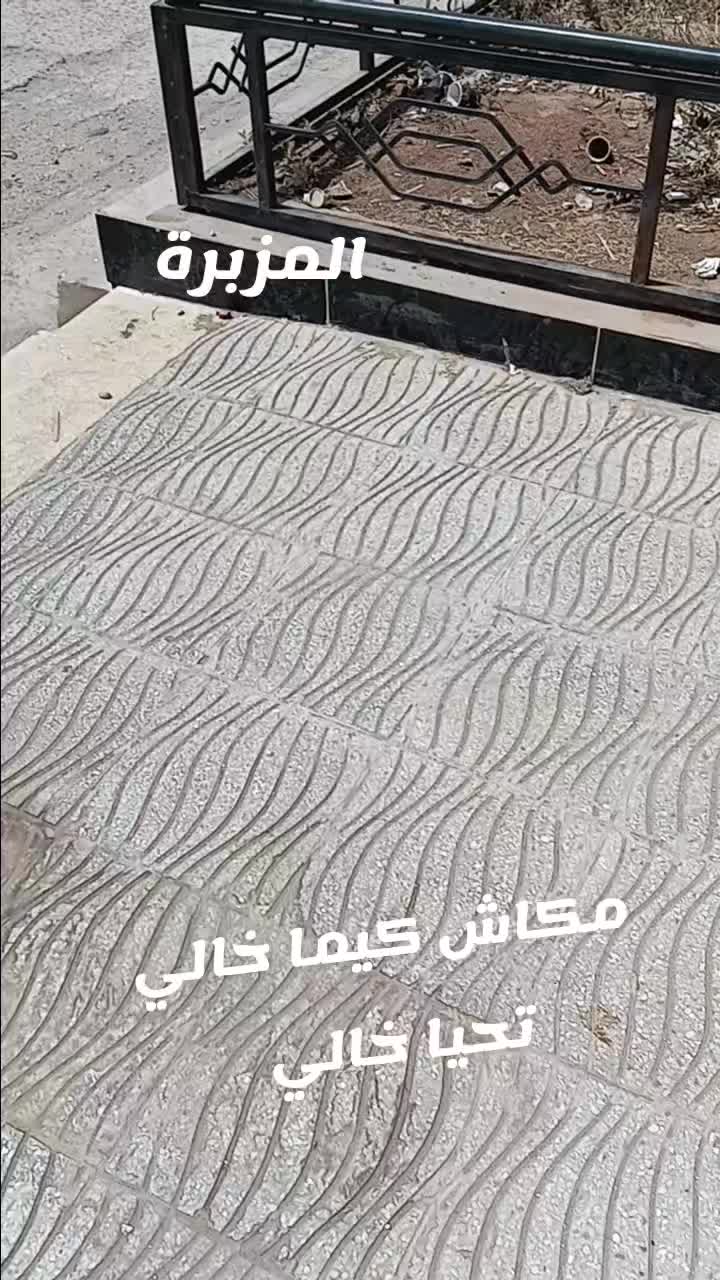 @✌️ SAFINAA سفينة 02 ✌️