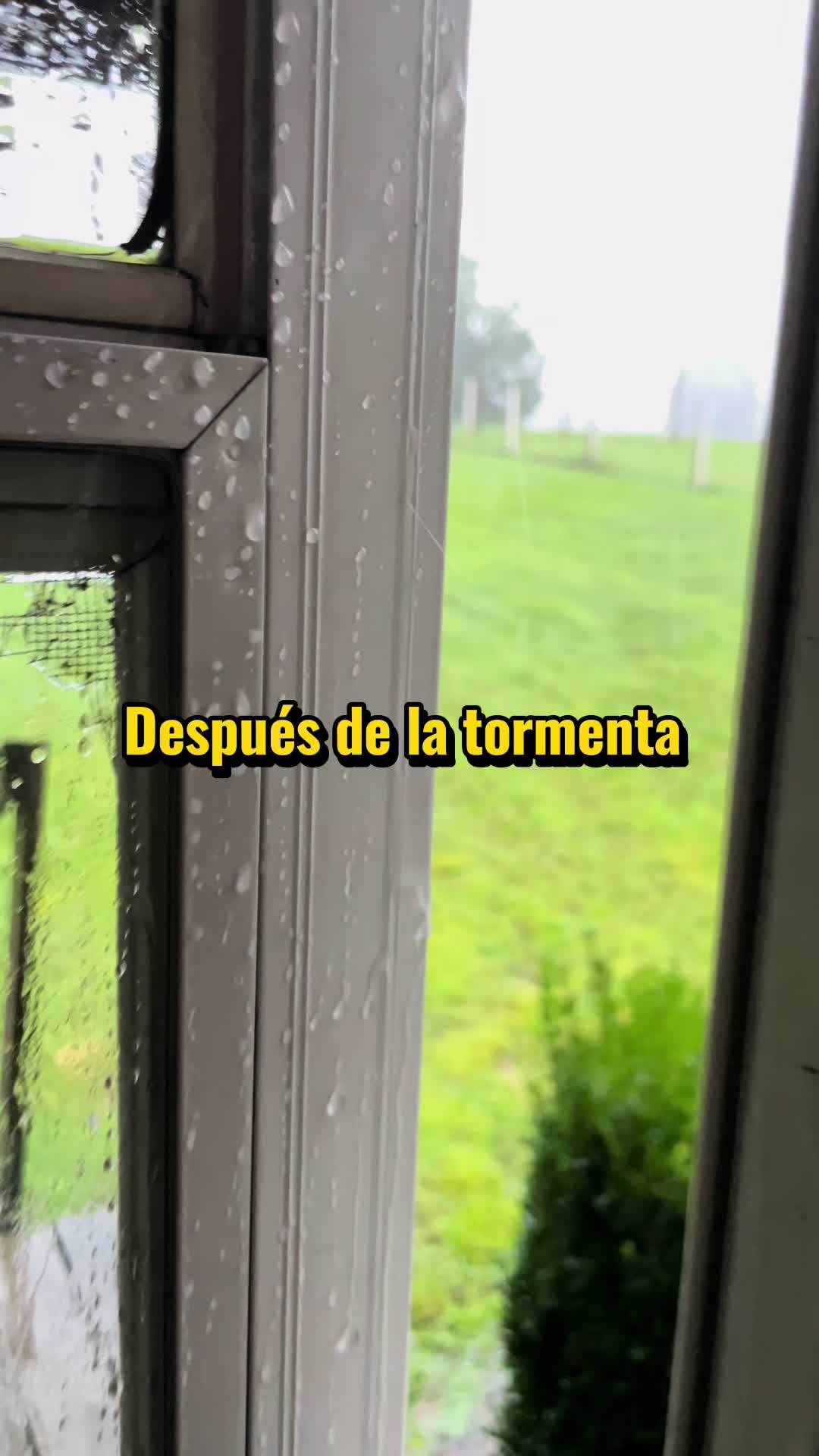 @Veronica&Familia