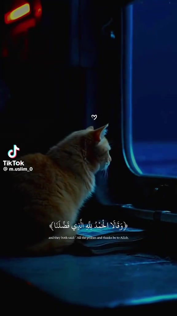 @Rafat Zughbi AR
