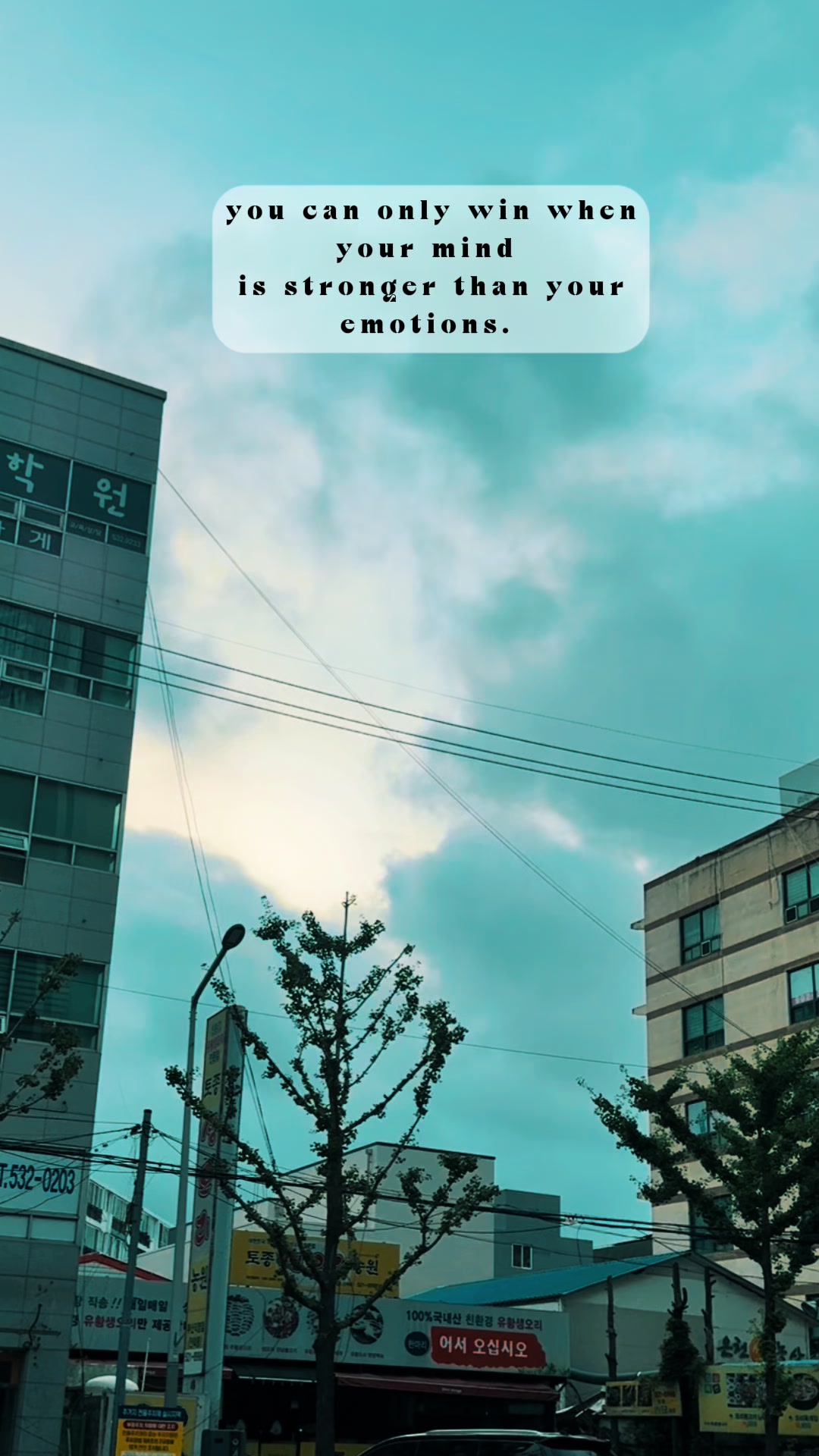 @【C】【R】【Y】【S】【T】【A】【L】_29