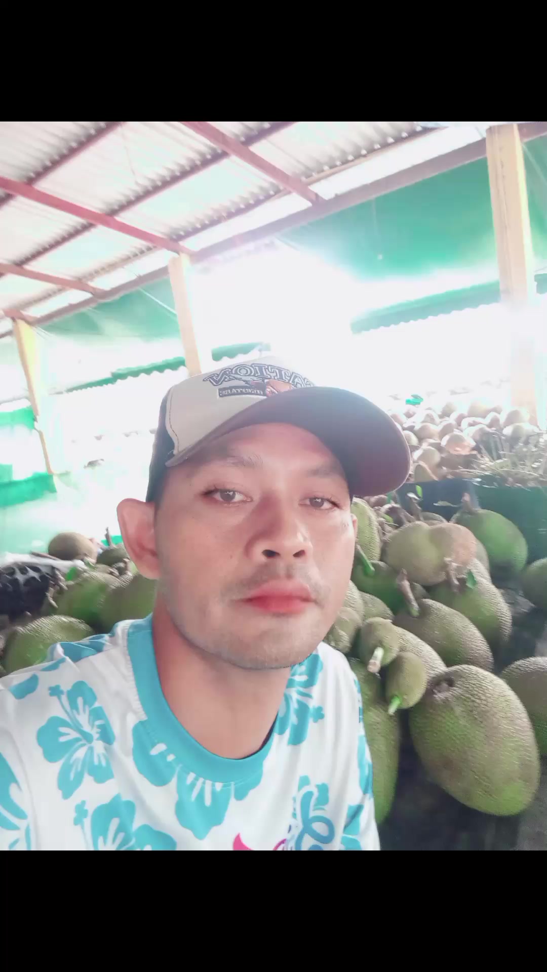 @บุญเพ็ญฟาร์มวัว
