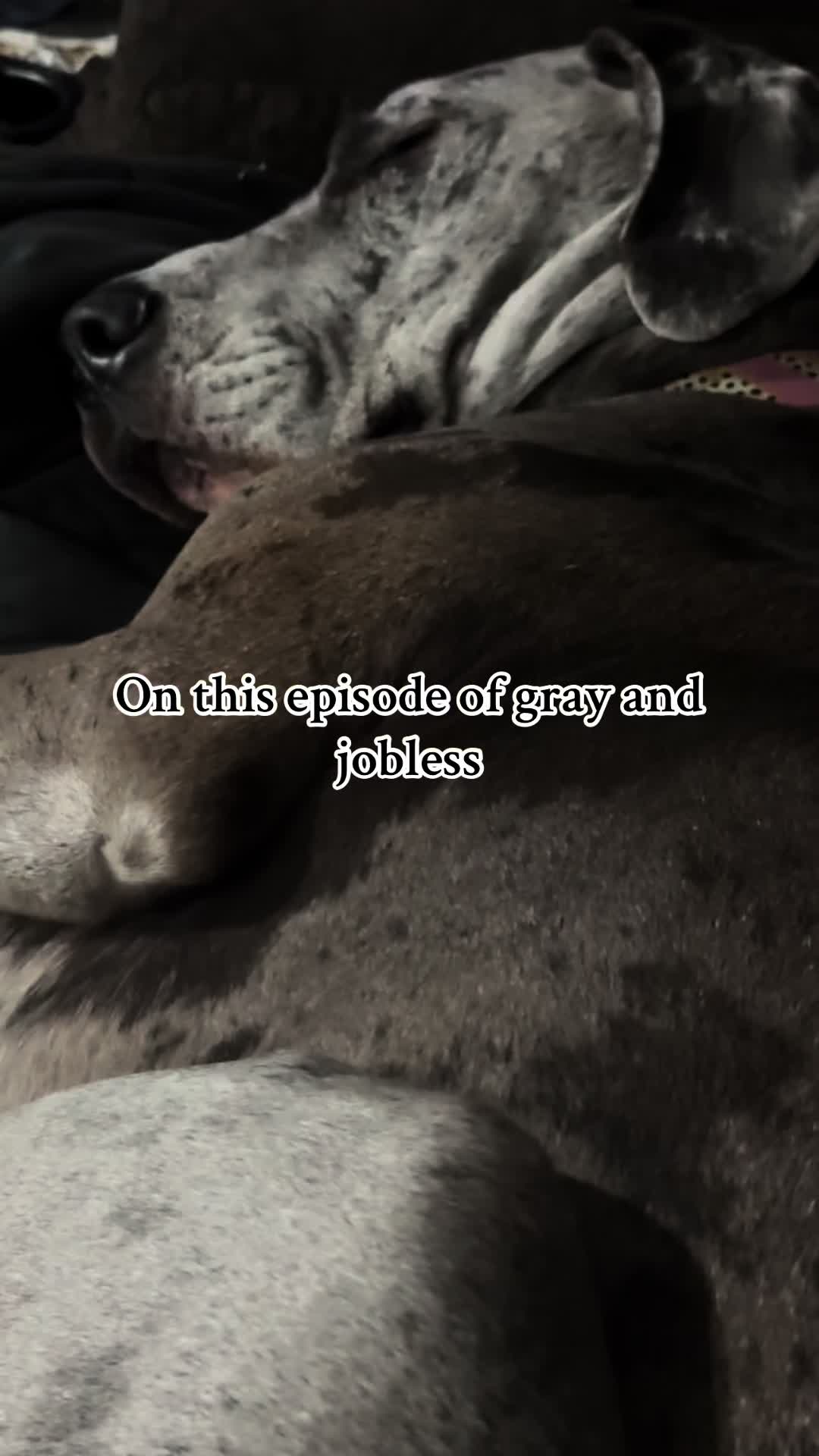 @Jenn
