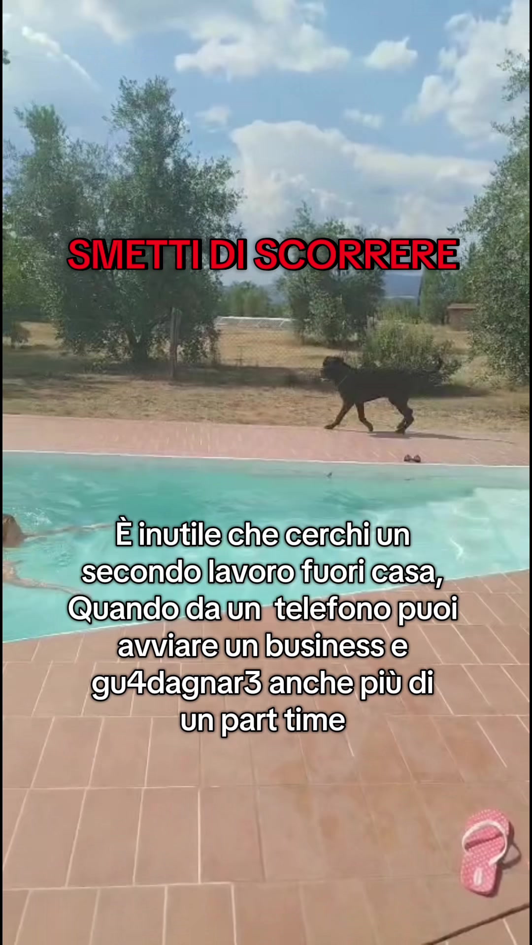 @Annalisa_business