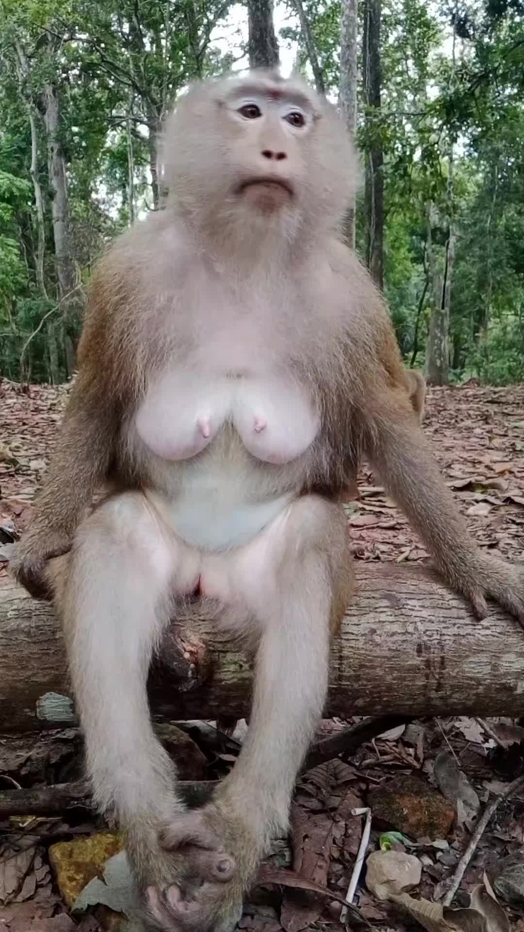 @seng kimhuot
