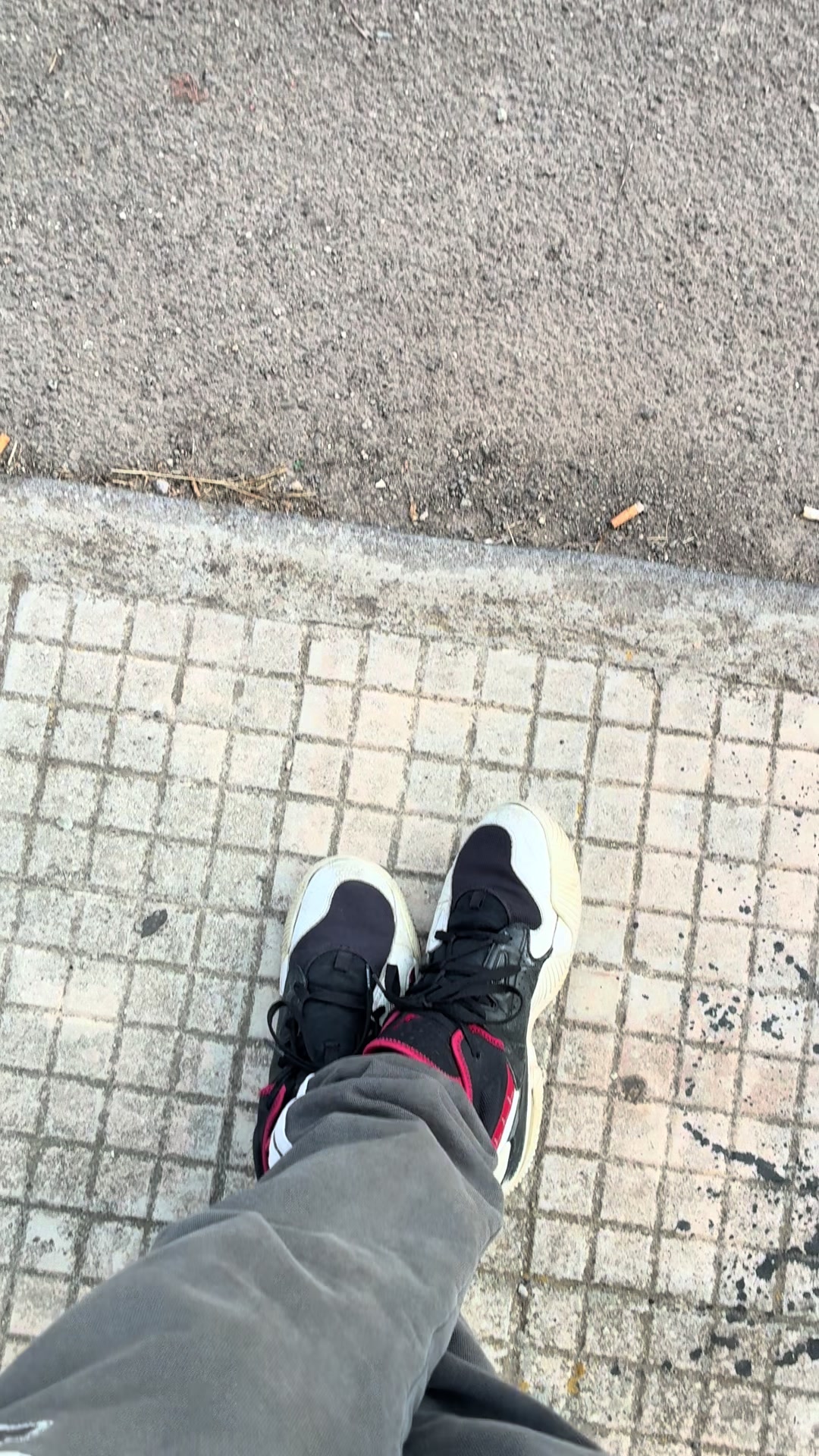 @salvobarra0