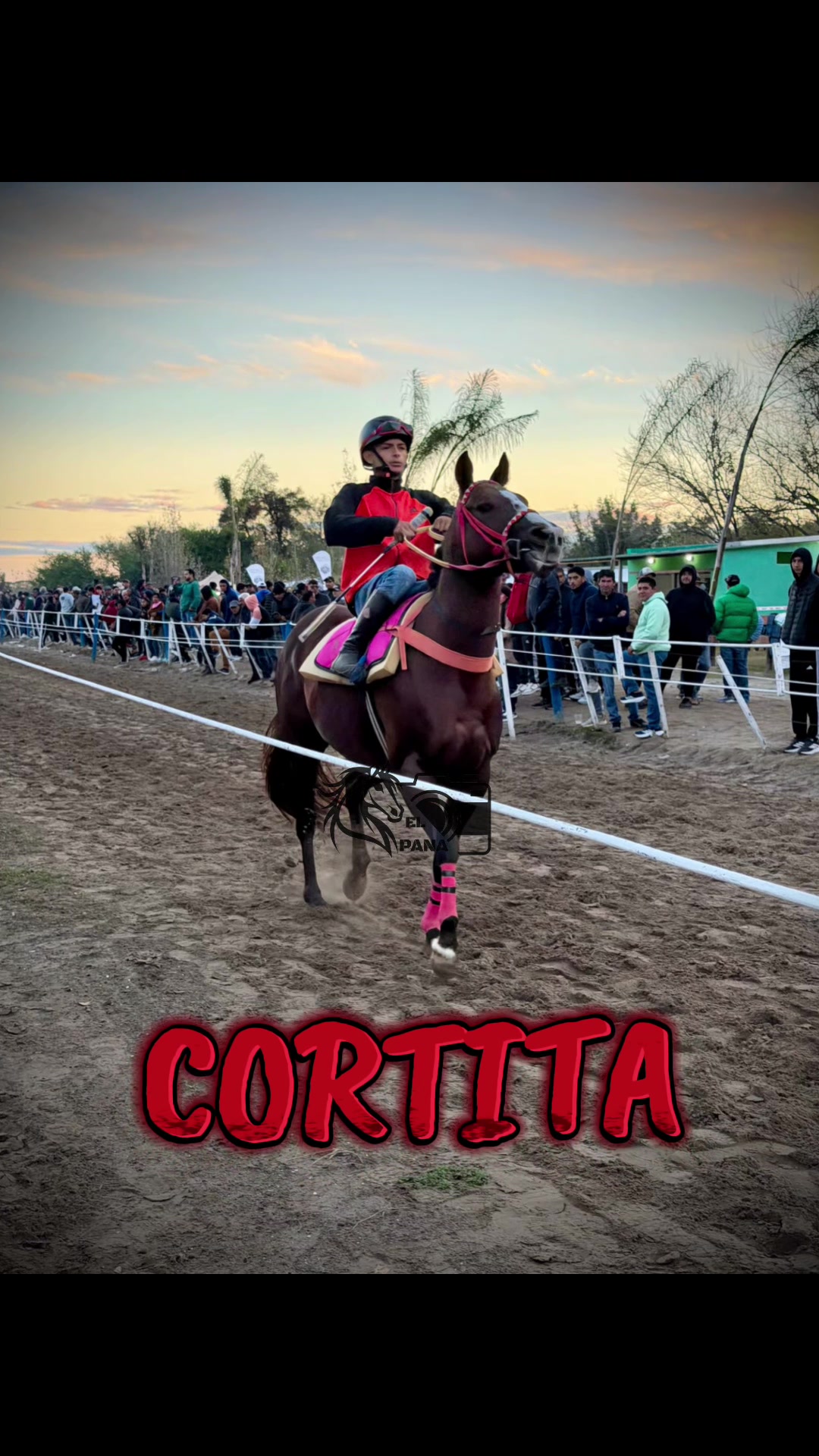 @el_pana_trh