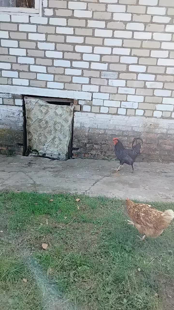 @МИШАНЯ