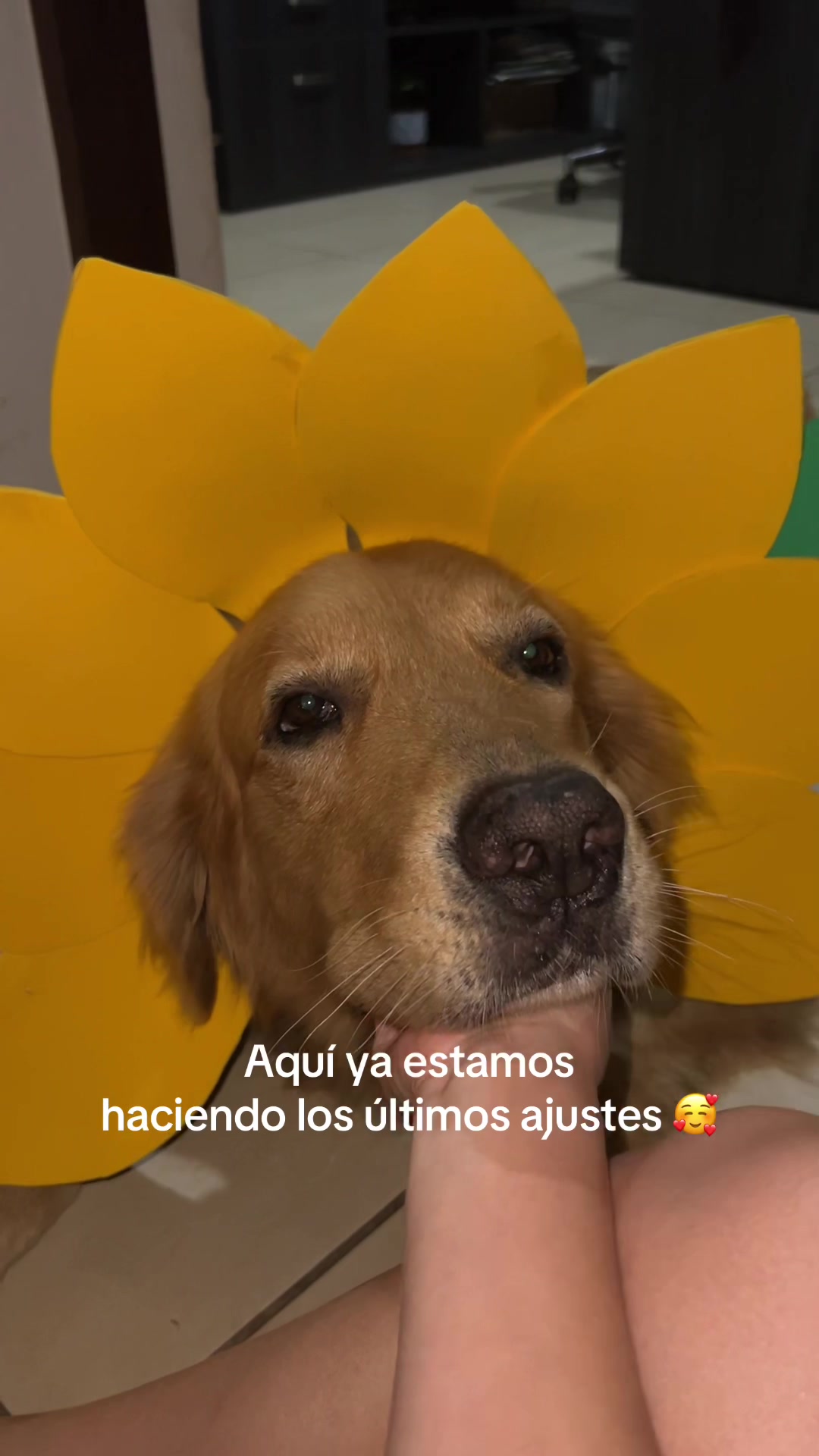 @Grecia A