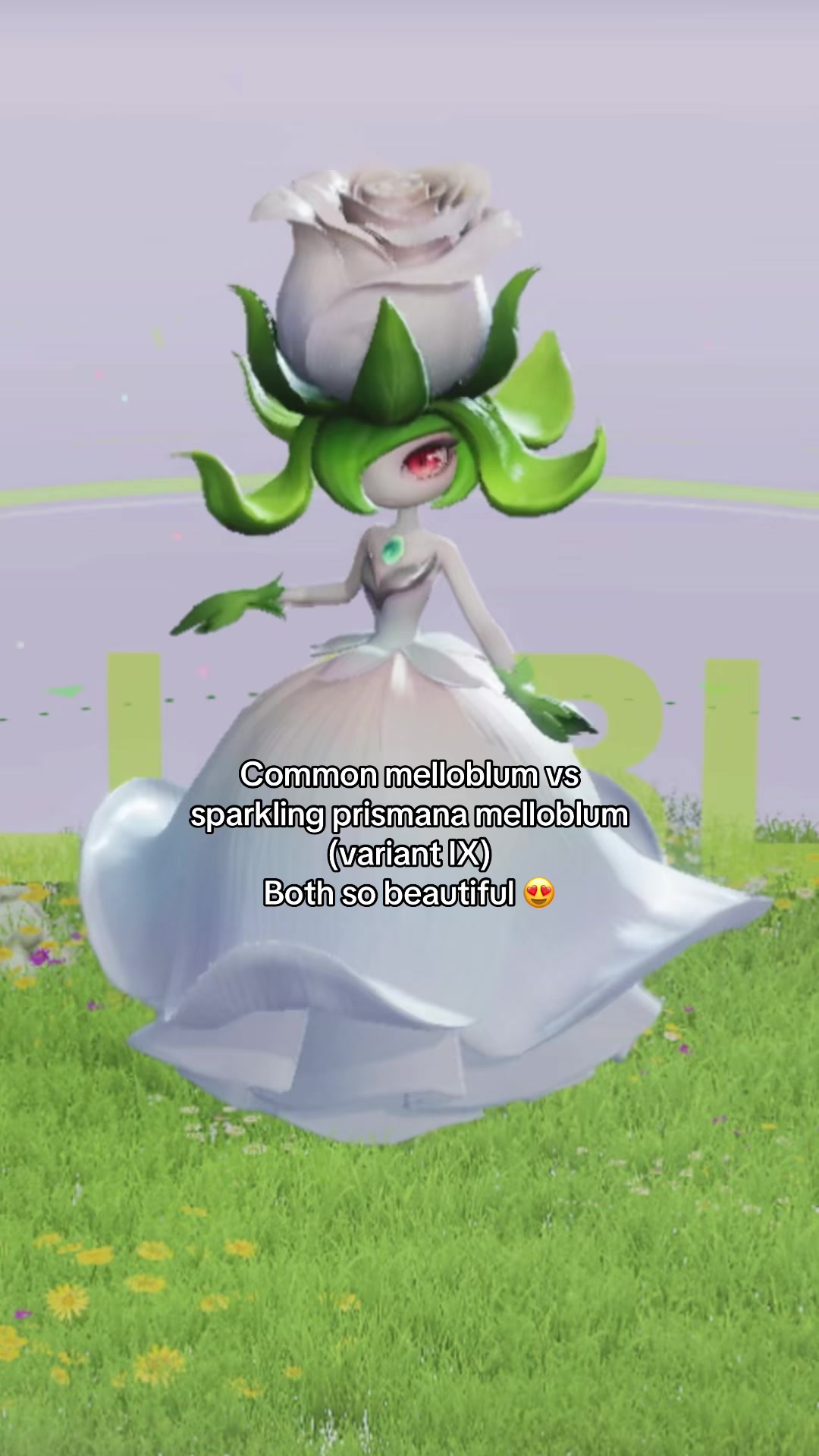 @Dee
