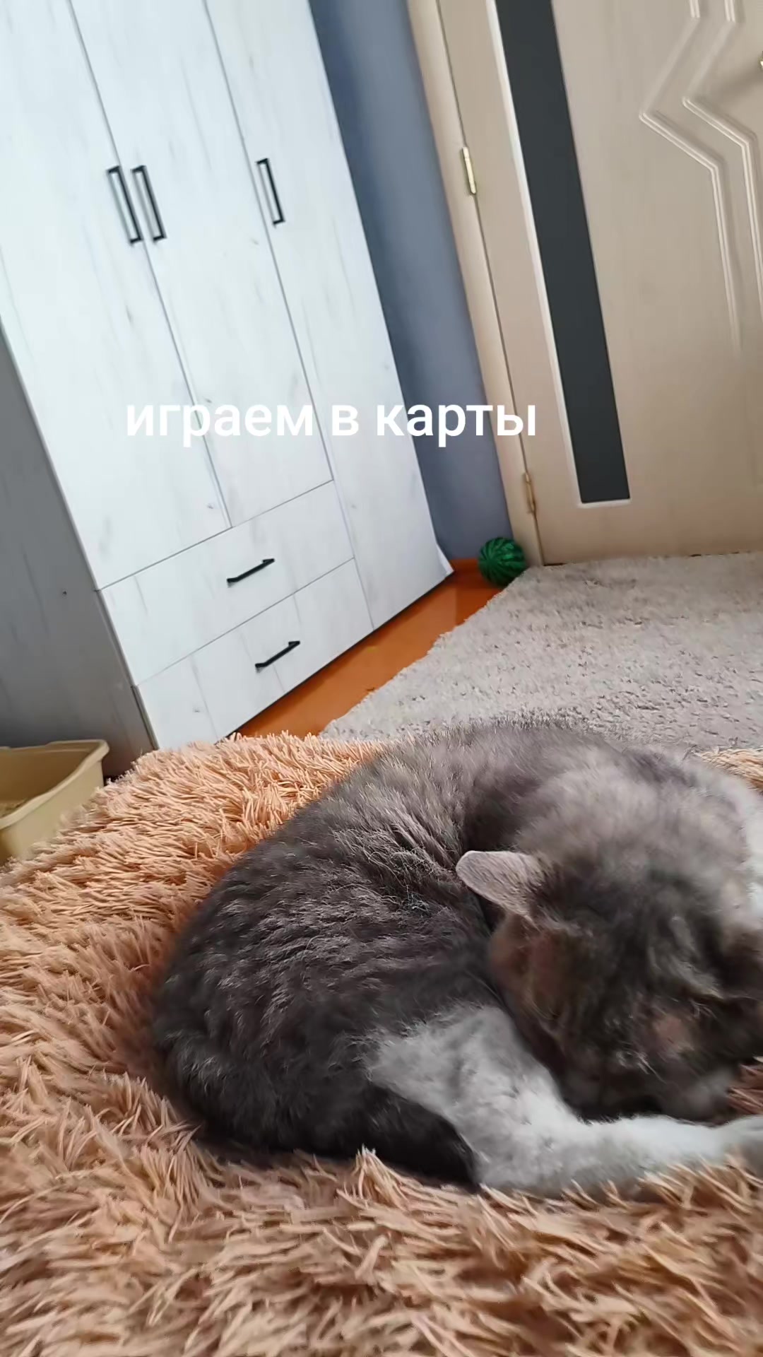 @Egor