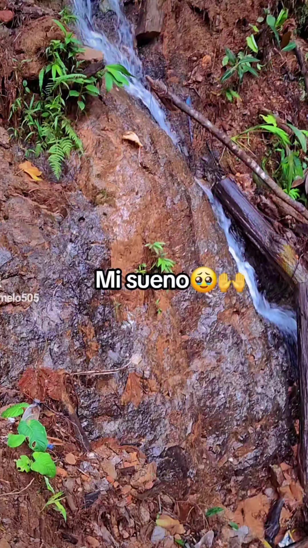 @gemelo Lopez 🥰