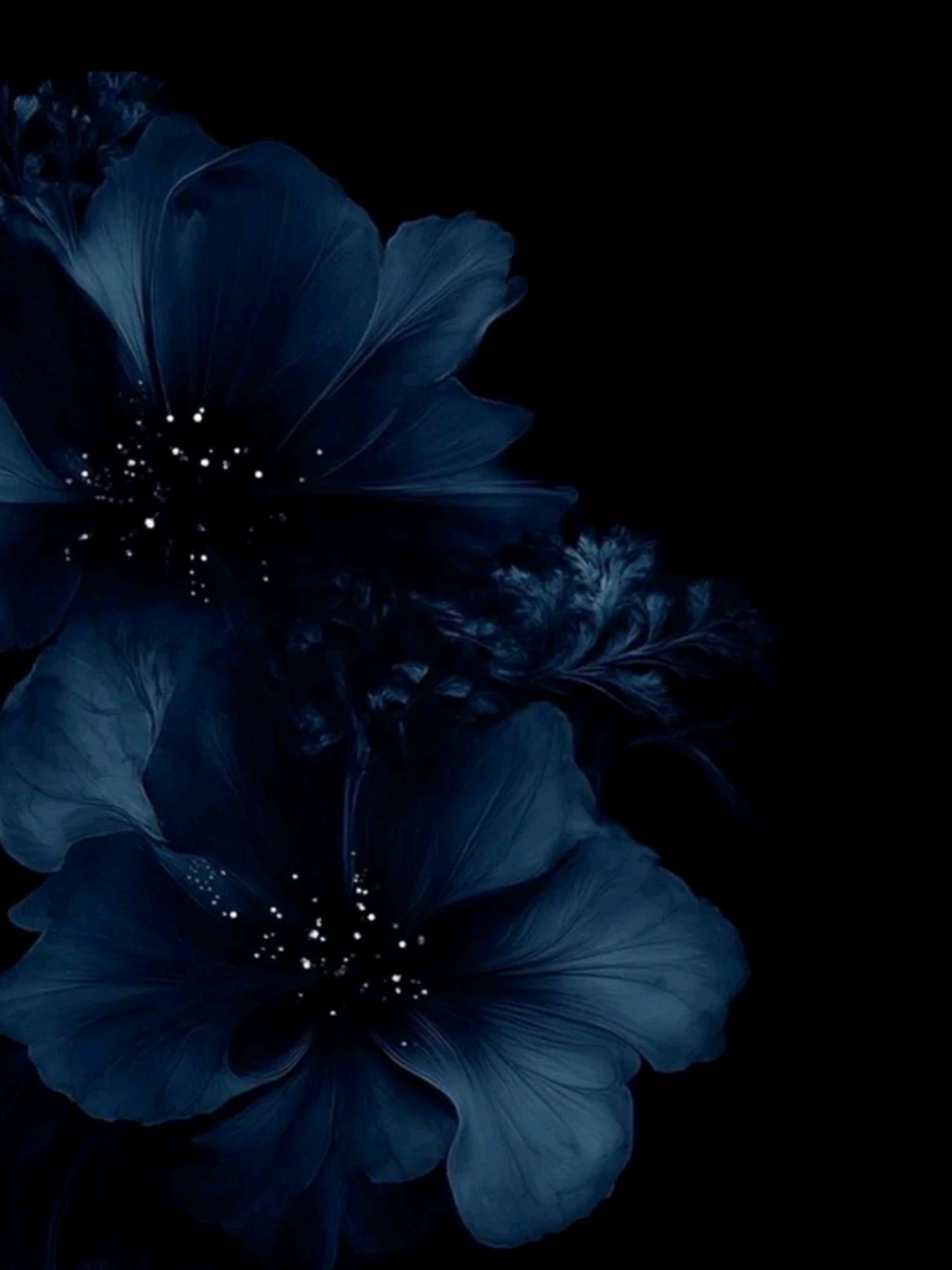@⋆｡˚꒰ঌ 𝑹𝒂𝒄𝒉𝒆𝒍 ໒꒱˚｡⋆