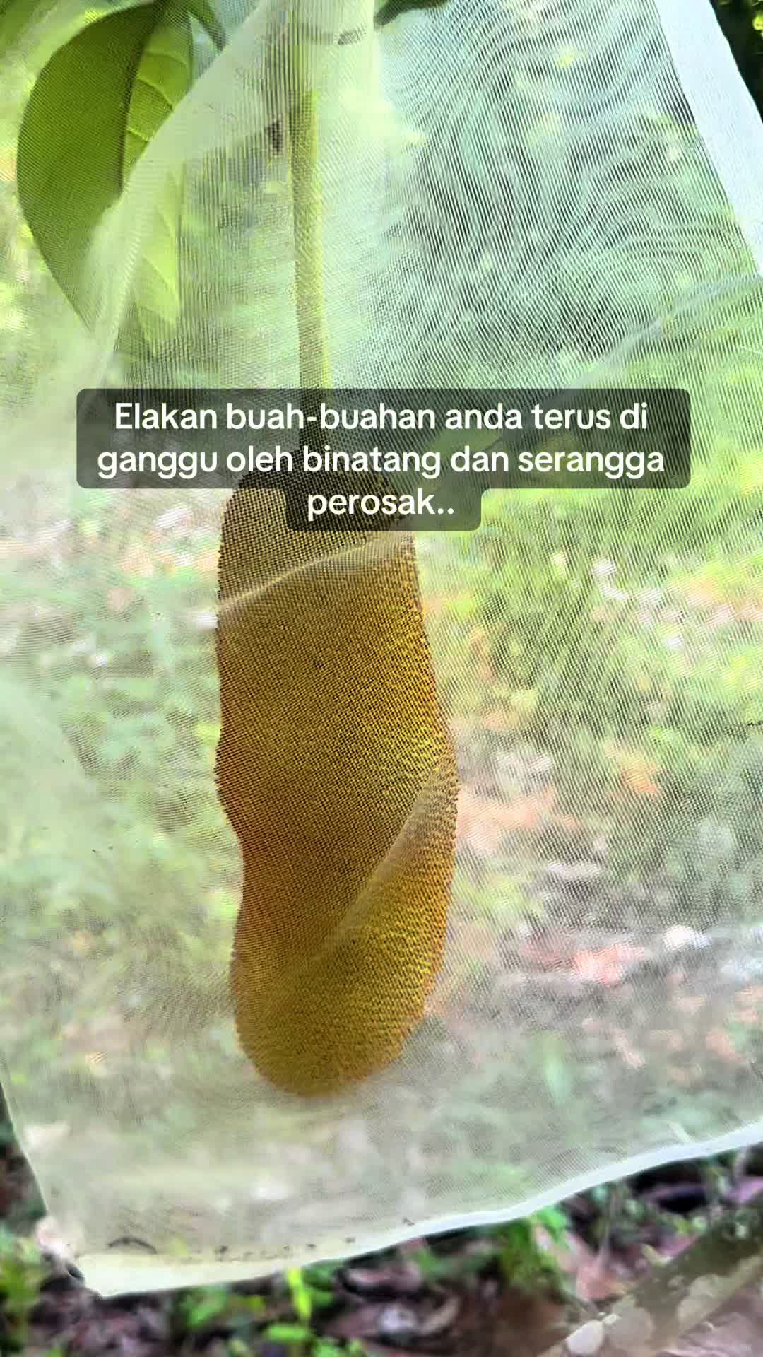 @Azmi Azmi Ramli