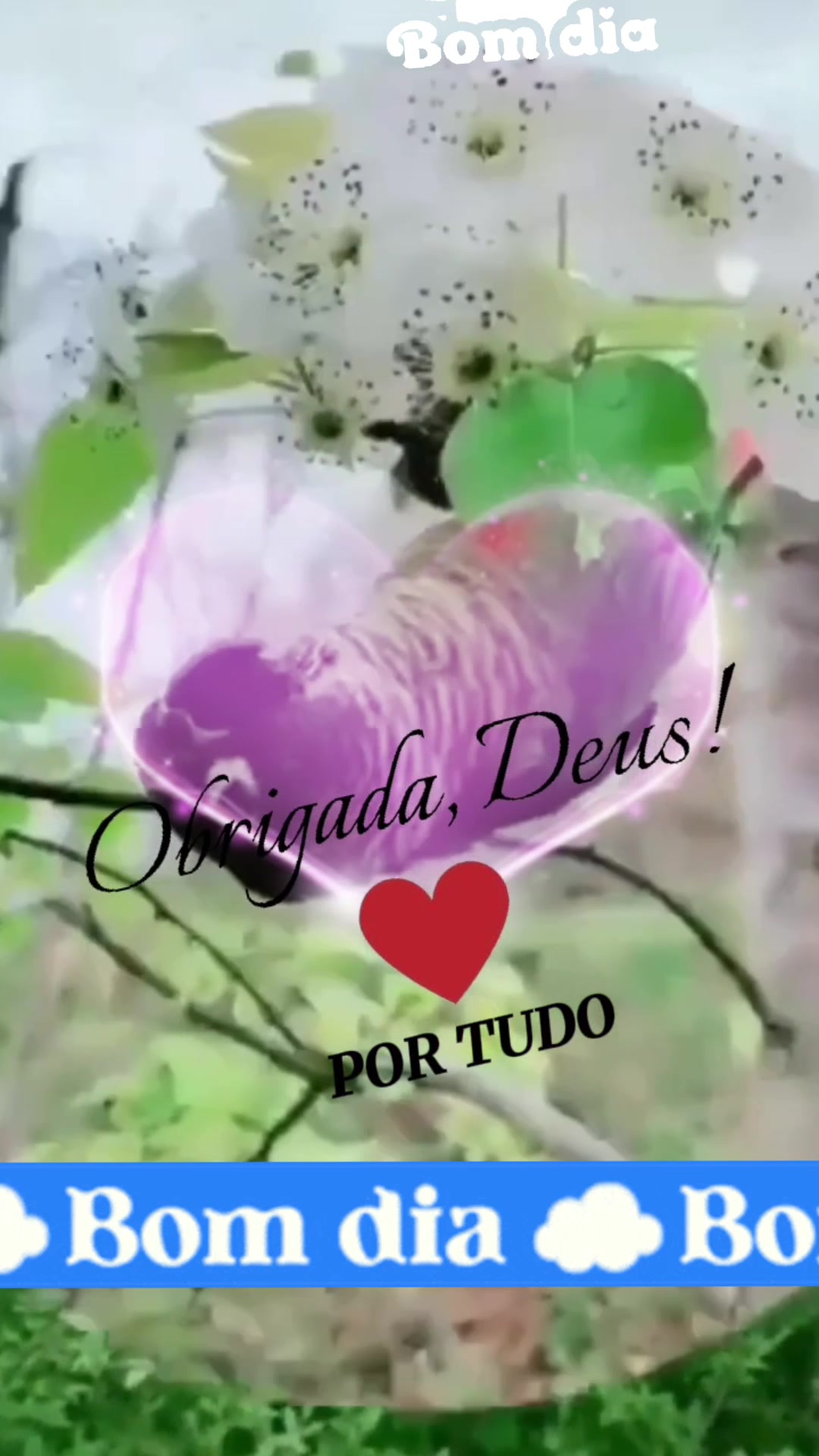 @Luzenir Silva 315