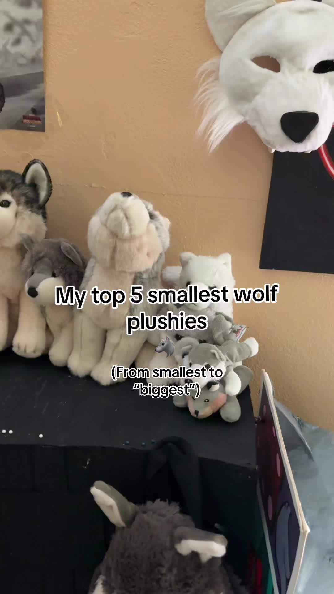 @☆𝐋𝐮𝐩𝐮𝐬☆