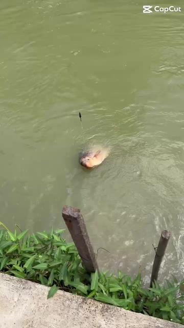 @Đinh văn th&aacute;i