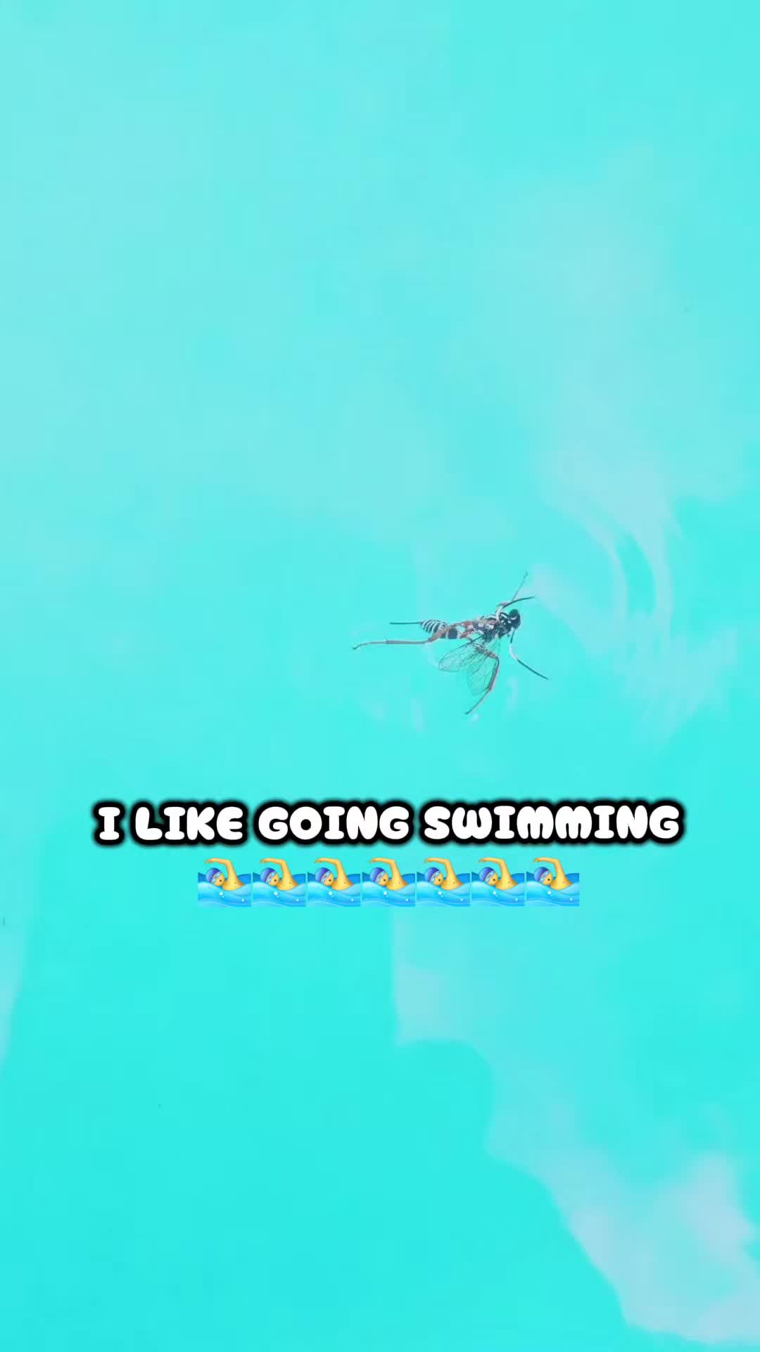 @Mr.vic007ai