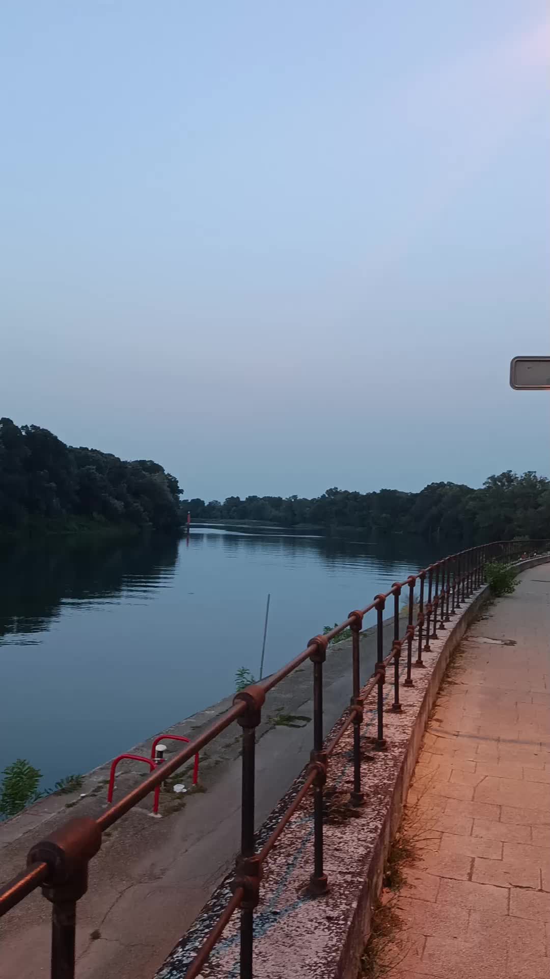 @Fleur blanche