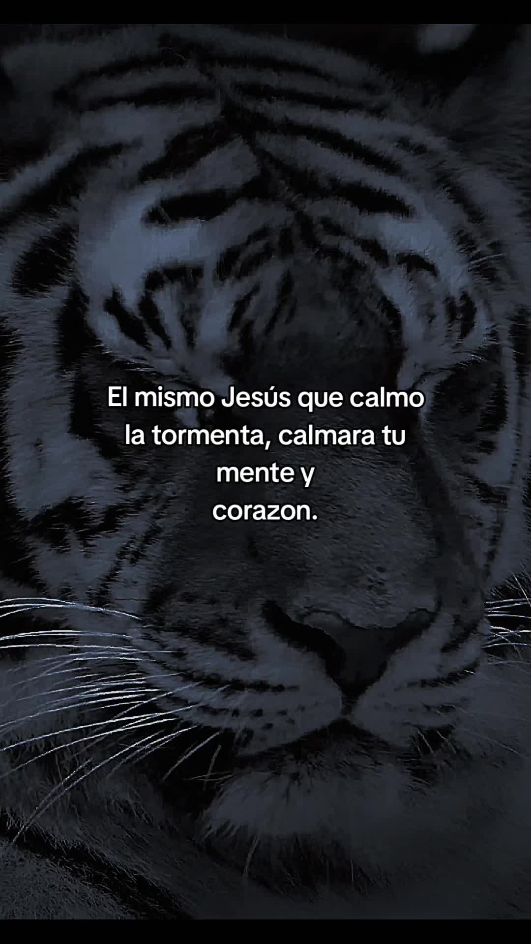 @🦁“INFINITO”✨️🕊