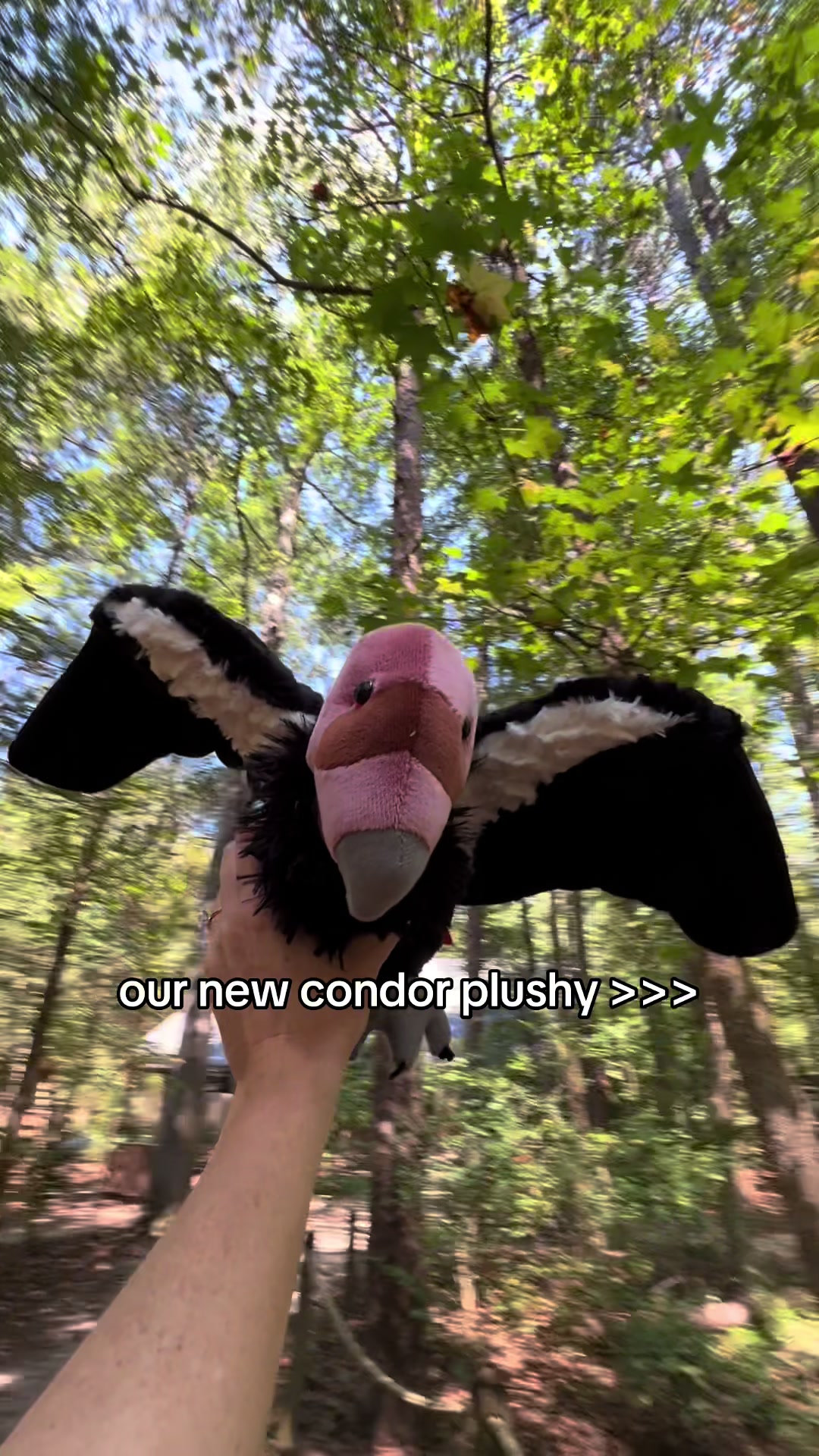 @Carolina Raptor Center